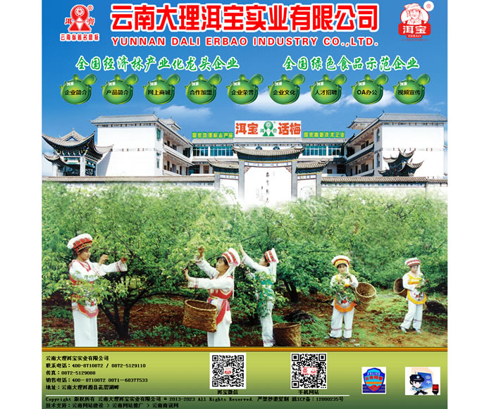 云南網(wǎng)站建設(shè)、昆明網(wǎng)站建設(shè)、云南網(wǎng)站制作、昆明網(wǎng)站制作、云南微網(wǎng)站制作、云南網(wǎng)站優(yōu)化推廣、大理網(wǎng)站建設(shè)、麗江網(wǎng)站建設(shè)、大理網(wǎng)站制作、麗江網(wǎng)站制作、保山網(wǎng)站建設(shè)、德宏網(wǎng)站建設(shè)、文山網(wǎng)站建設(shè)、楚雄網(wǎng)站建設(shè)、紅河網(wǎng)站建設(shè)、云南政府網(wǎng)站建設(shè)、普洱網(wǎng)站建設(shè)